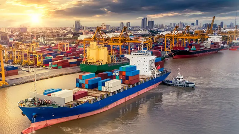 Maritime Goliath Cranes